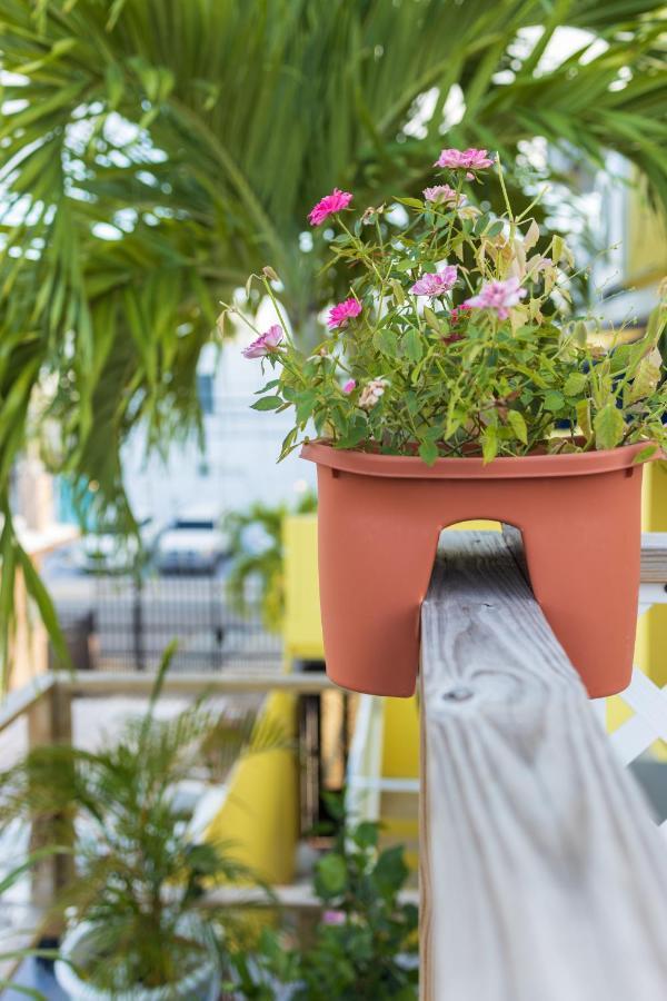 Andalucia Guest House 산후안 외부 사진