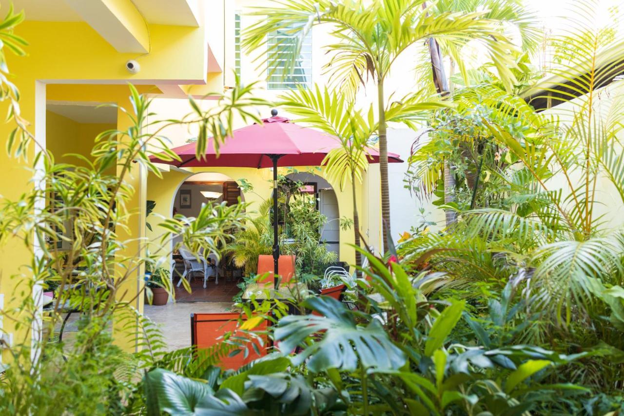 Andalucia Guest House 산후안 외부 사진