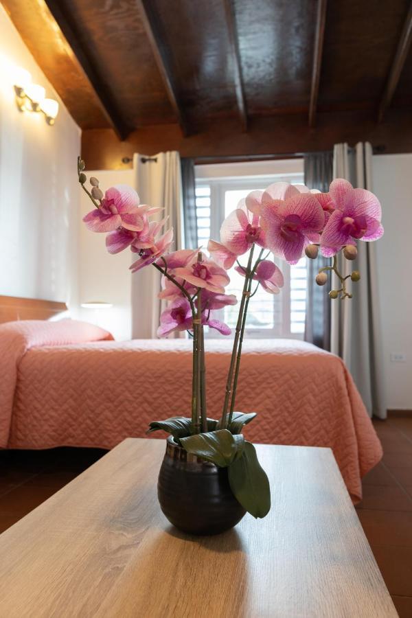 Andalucia Guest House 산후안 외부 사진