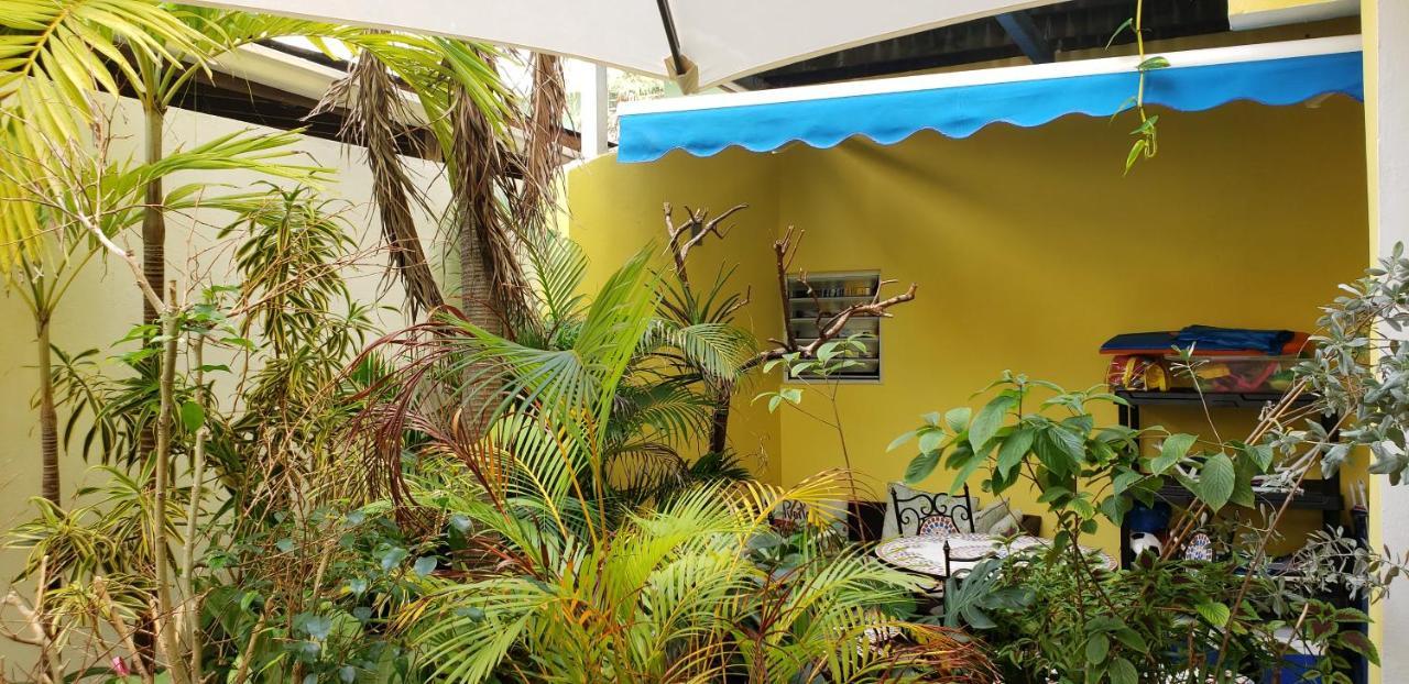 Andalucia Guest House 산후안 외부 사진